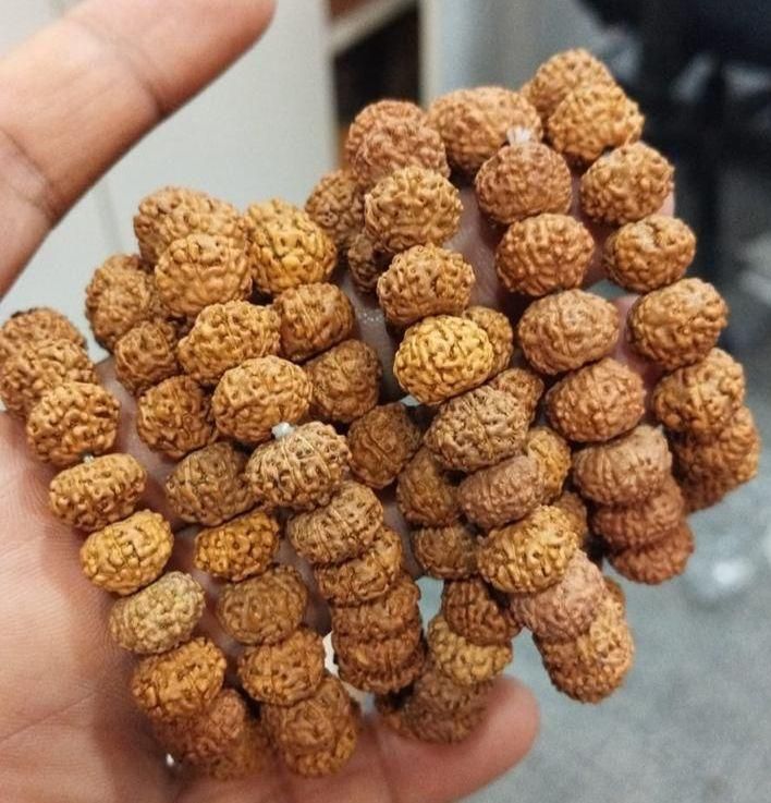 7 Mukhi Rudraksha Bracelet – Divine Energy & Prosperity Beads