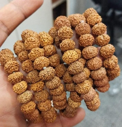 7 Mukhi Rudraksha Bracelet – Divine Energy & Prosperity Beads